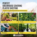 CAPHAUS 6 mil Clear Greenhouse Plastic Sheeting, 4-Year UV Resistant Polyethylene Film, Hoop House Cover for Horticulture, Gardening, Farming and Agriculture, 90% Light Transmittance, 32’ x 50’