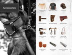 1844 Helko Werk Germany Axe Collection - 8 Classic Axes Set - Odyssey, Nordic, Tasmania, Expedition, Forester, Scout, Journeyman, Pathfinder Hatchet