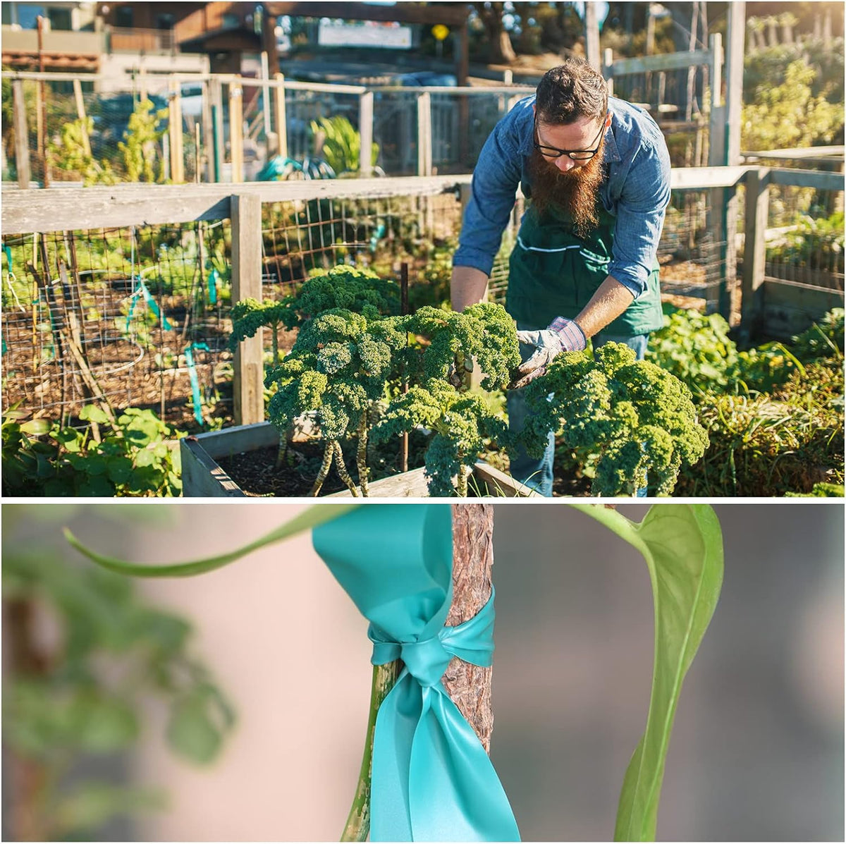 Stretch Tie Tape, 1” Wide 200FT Reusable Garden Plant Ties Green Tapes for Plants, Thick Garden Vinyl Stake Ribbon for Branches Flowers Tomatoes Indoor Outdoor Greenhouse