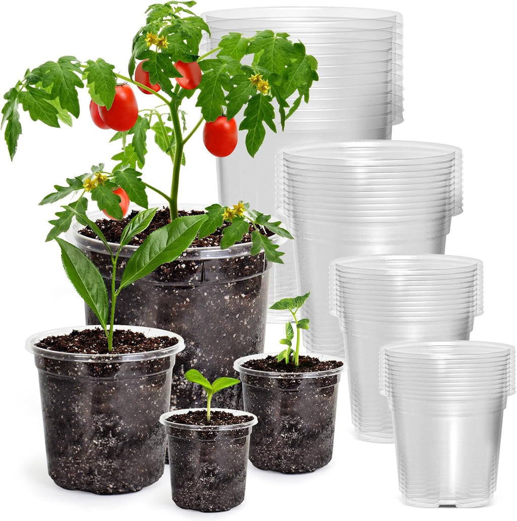 36 Packs 6.7/5/4/3.5 Inch Reinforced Clear Nursery Pots with Drainage Hole, Transparent Variety Pack Plastic Plant Pot Seedling Planter Seed Starter Flower