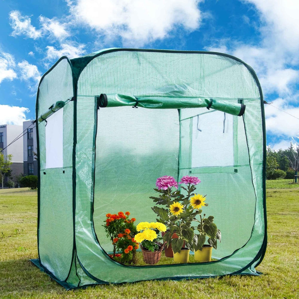 Porayhut Pop Up Greenhouse Tent,Portable X-Large Walk-in Flower House ,Indoor Outdoor Gardening Plant Sunshine Room with PE Mesh Cloth Cover for Protecting Plant from Cold Frost & Birds