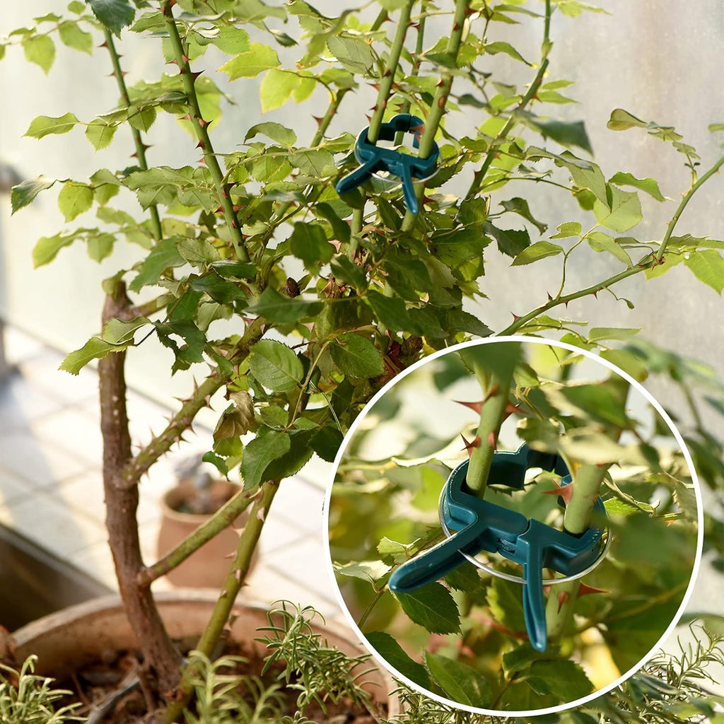 Plant Support Clips, 80 PCS Gentle Flower Plant Clamps for Supporting Vine Climbing Plants, Gardening Lever Loop Gripper Clips Help Stems Vines Grow Straight Upright, 2 Sizes in one Pack