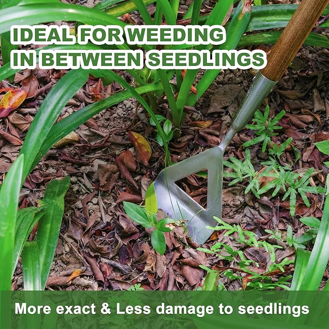 Haliaeetus Women's Dutch Hoe, 51'' Long Handle Dutch Hoe Weeder for Standing to Remove Weeds, Stainless Steel Push Pull Weeder for Weeding in Between Seedlings, Removal of Moss and Soil Loosening