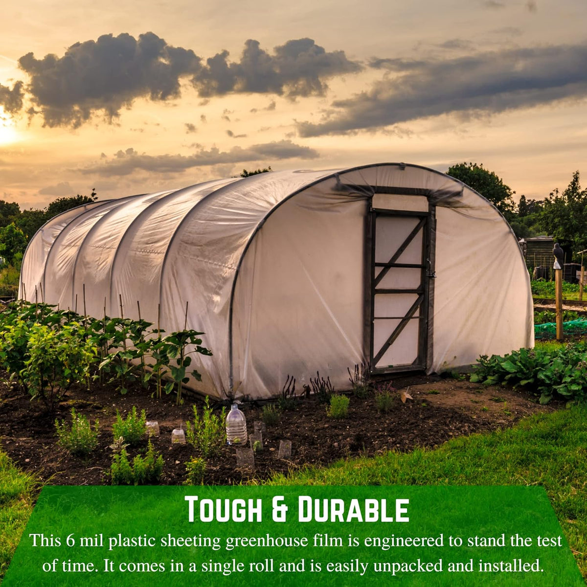 Farm Plastic Supply - Clear Greenhouse Plastic Sheeting - 6 mil - (25' x 25') - 4 Year UV Resistant Polyethylene Greenhouse Film, Hoop House Green House Cover for Gardening, Farming, Agriculture