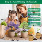 Bonsai Tree Kit, Complete Bonzai Tree Starter Kits with Tools, Unique DIY Gardening Gifts for Mom Women Men, Crafts Hobby Kits, Grow Bonsai Tree Live Indoor