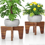 Plant Stands Indoor Outdoor, Plant Risers for Inside Pots Sturdy Short Plants Holder, Flower Pot Stand for Indoor Plants, Small Single Floor Plant Bamboo Display Stand (Brown 12“ (2 pack))