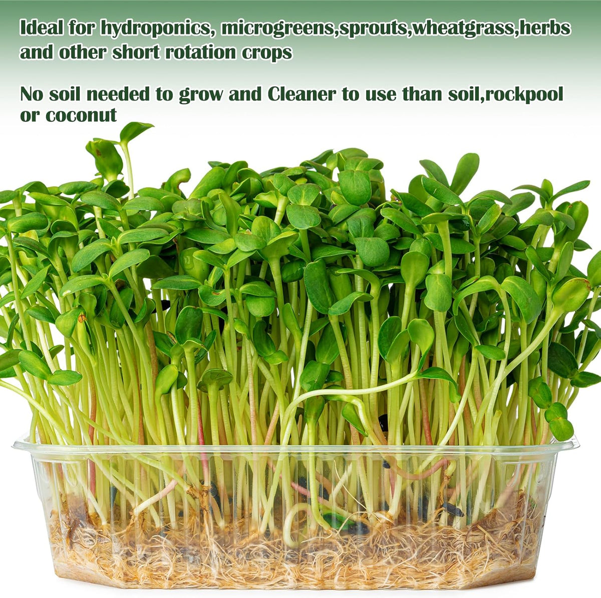 1 Roll 10" X 157" Microgreen Grow Mat Natural Fiber Grow Mats Microgreens Grow Kit Hydroponic Pads Indoor Organic Production for Microgreen Starter Tray Wheatgrass Sprouts