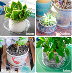 Plant Saucer 50 Pack Plant Trays for Pots 6 Inch Plastic Plant Saucers for Outdoors and Indoors Clear Drip Trays for Potted Plants Flower Pot Plates to Catch Water Plant Drainage Dishes No Holes