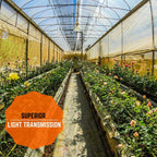 Farm Plastic Supply - Clear Greenhouse Plastic Sheeting - Ultra Durable - 8 mil - (50' x 30') - 4 Year UV Resistant Polyethylene Greenhouse Film for Gardening, Farming, Agriculture