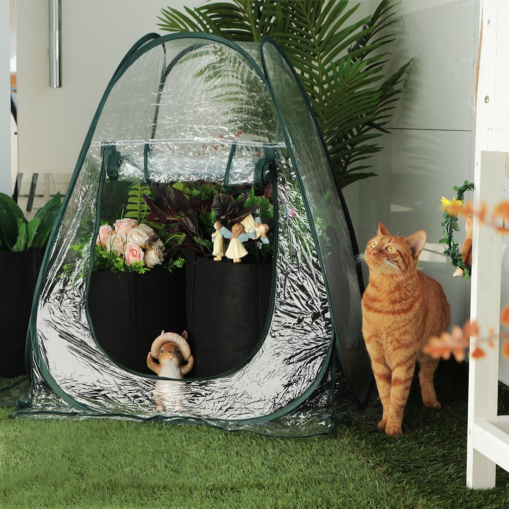 Gardzen 2-Pack 27"x27"x31" Pop up Grow Greenhouse Small Greenhouse, Portable Plant Flowers Mini Green House Cover for Outdoor & Indoor Use