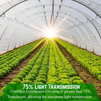 Farm Plastic Supply - Clear Coolmax Greenhouse Plastic Sheeting - 6 Mil - 4 Year UV Resistant Infrared Anti-Condensate Green House Covering Thermal Greenhouse Plastic 6 mil (24' x 80')