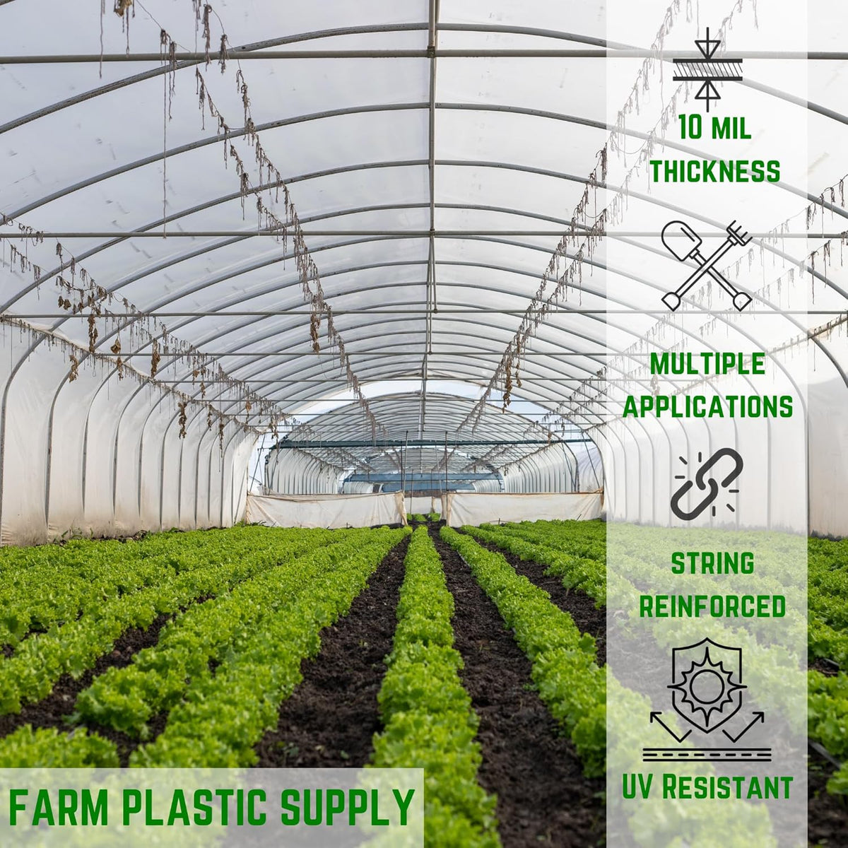 Farm Plastic Supply - String Reinforced 4 Year UV Resistant 10 mil Clear Greenhouse Plastic Sheeting - 4 Year UV Resistant Polyethylene Greenhouse Film, Hoop House Green House Cover (6' x 50')