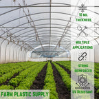 Farm Plastic Supply - String Reinforced 4 Year UV Resistant 10 mil Clear Greenhouse Plastic Sheeting - 4 Year UV Resistant Polyethylene Greenhouse Film, Hoop House Green House Cover (12' x 50')