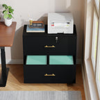 2 Drawer Lateral File Cabinet with Lock, Suitable for Letter/A4/F4/Legal Size Hanging Files,Large Wood Filing Storage Cabinets Printer Stand for Home Office,Black