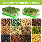 EBaokuup 10Pcs Seed Sprouter Tray with Drain Holes - BPA Free Seed Garden Plant Germination Propagation Trays, Soil-Free Wheatgrass Tray Sprouter Microgreens Growing Kit with Germinating Paper