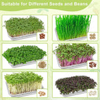 Stainless Steel Sprouts Growing Kit 3-Tier 10.4 inch Trays, Microgreens Growing Kit, Seed Sprouting Tray with Encrypted Mesh Sprouts for Beans Alfalfa Broccoli Wheat Grass