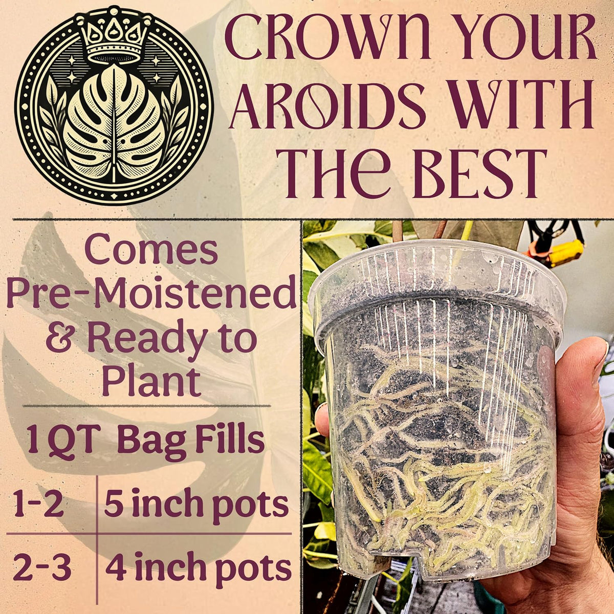 Craft Aroid Potting Mix- Elite Organic Alocasia, Philodendron, Monstera Soil Mix, Chunky, Well Draining Potting Soil for Indoor Plants, All Tropical Plants & Houseplants, Sustainable & Peat Free 1QT