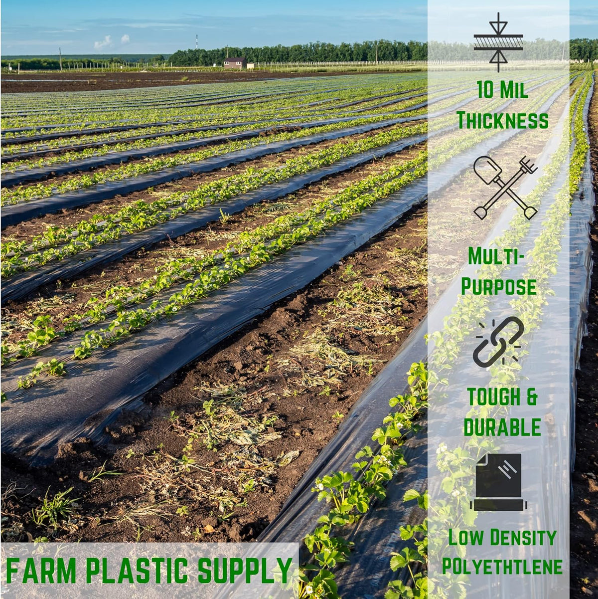 Farm Plastic Supply - Black Plastic Sheeting - 10 mil - (5' x 100') - Black Plastic Tarp, Polyethylene Vapor Barrier Sheeting, Painters Tarp