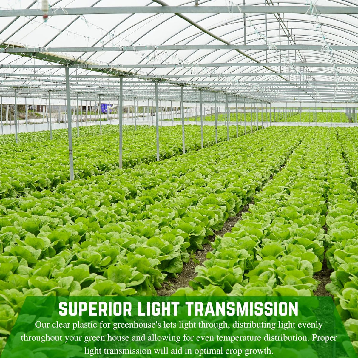 Farm Plastic Supply - String Reinforced 4 Year UV Resistant 10 mil Clear Greenhouse Plastic Sheeting - 4 Year UV Resistant Polyethylene Greenhouse Film, Hoop House Green House Cover (42' x 10')