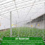 Farm Plastic Supply - String Reinforced 4 Year UV Resistant 10 mil Clear Greenhouse Plastic Sheeting - 4 Year UV Resistant Polyethylene Greenhouse Film, Hoop House Green House Cover (32' x 100')