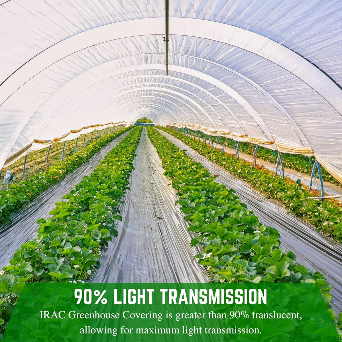 Farm Plastic Supply - Clear IRAC Greenhouse Plastic Sheeting - 6 Mil - (20' x 100') - 4 Year UV Resistant Infrared Anti-Condensate Green House Covering Thermal Greenhouse Plastic 6 mil