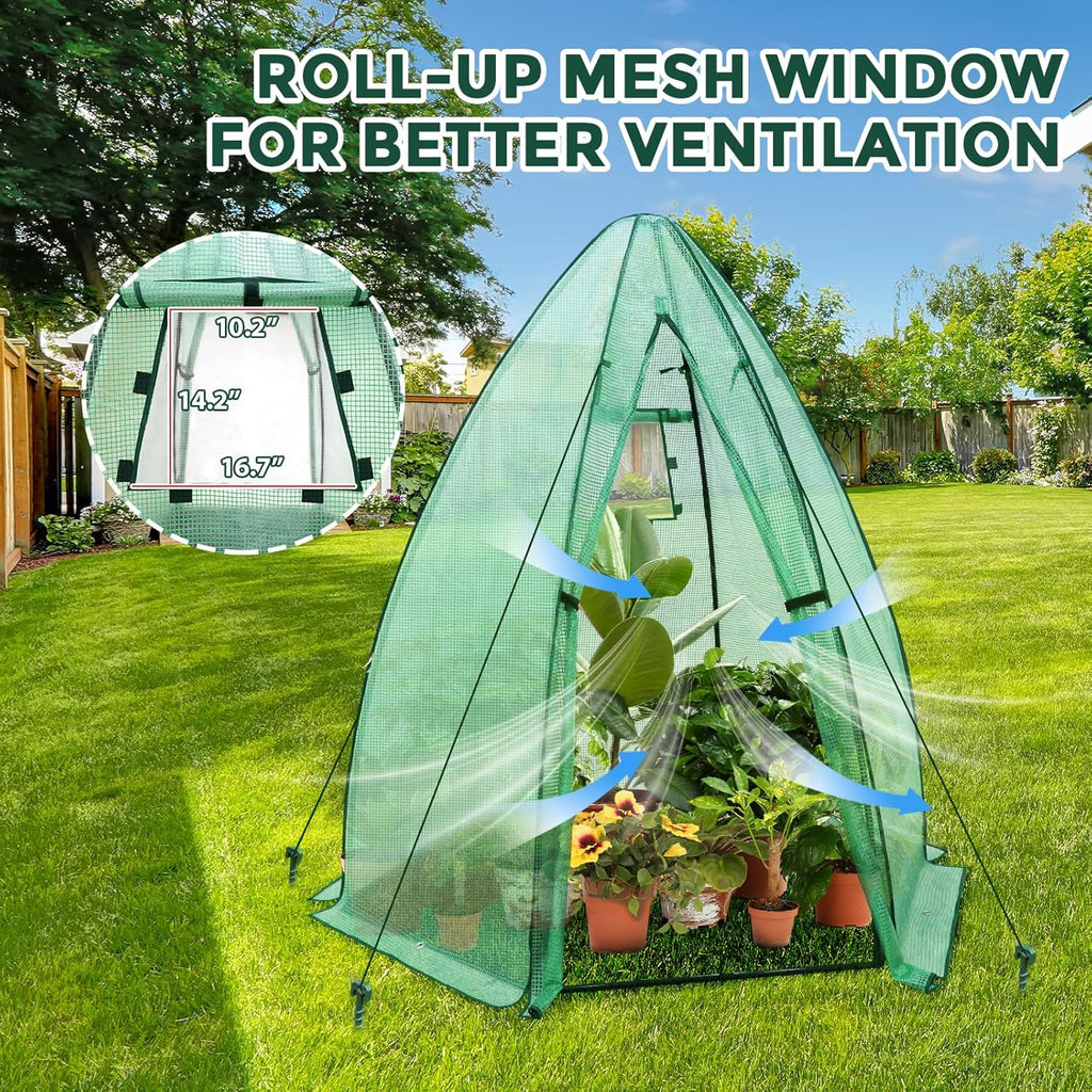 EAGLE PEAK Portable Mini Dome Greenhouse with Zippered Door and Mesh Window, Outdoor Mini Hexagon Greenhouse Kit for Indoor Outdoor Gardening 63"x63"x72", Green PE Cover