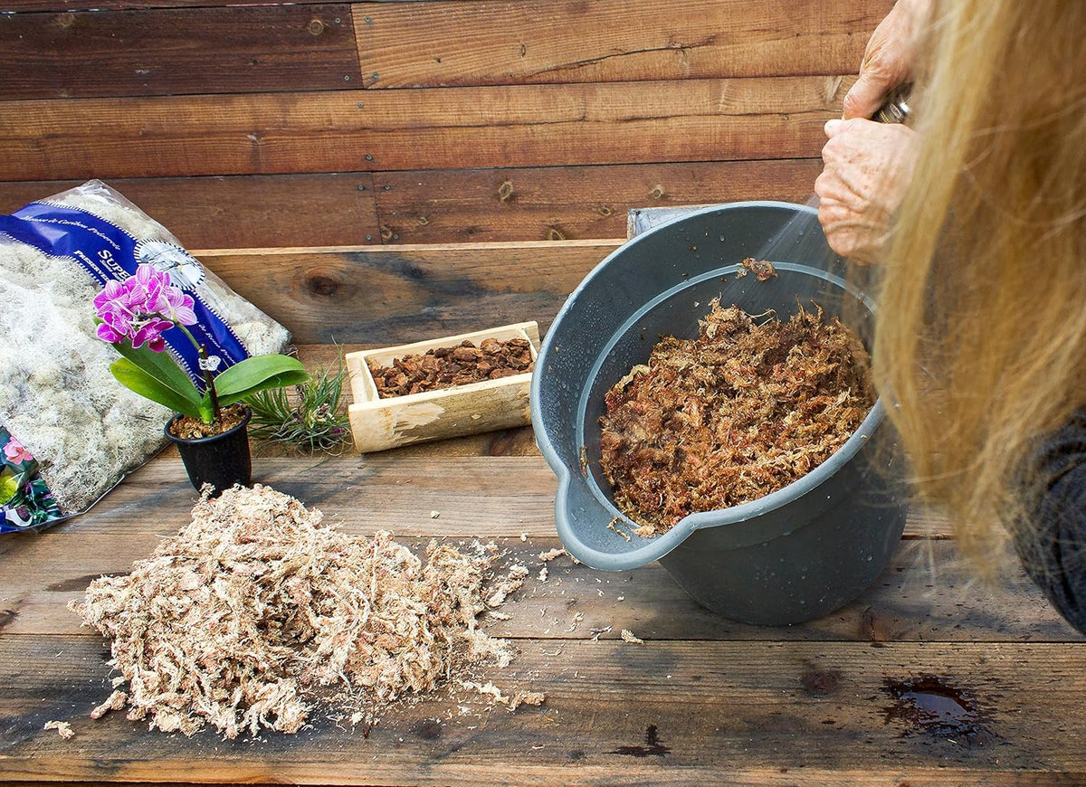 SuperMoss (22301) Orchid Sphagnum Moss Dried, Natural, 8oz